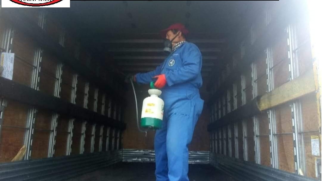 Fumigaciones