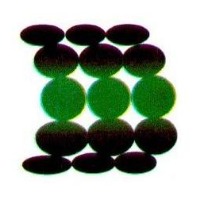 Francisco Sa�l Gonz�lez